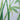 Waterproof Polyester 3D Bamboo Shower Curtain | Any Linen