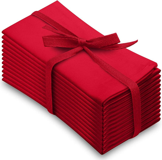 Kitchen Cotton Dinner Napkins Cloth 20' x 20" 100% Natural Oversized Bulk Linens, Set of 12 - Any Linen